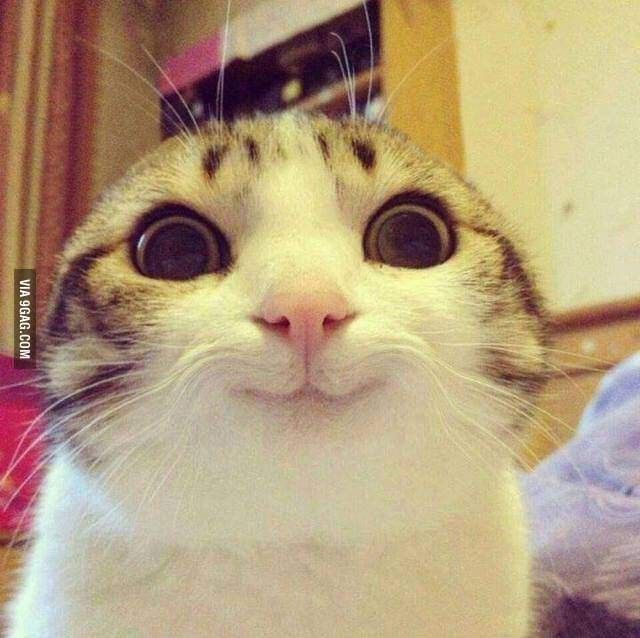 Surprise Image
